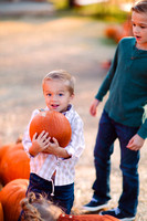 Moos Kids :: Pumpkin Patch