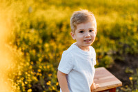 Wroblski Family :: Wildflowers
