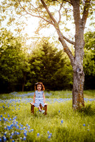 Matin :: Bluebonnets