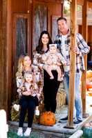Sullivan Family :: Pumpkin Patch