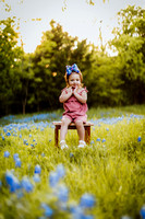 Arya :: Bluebonnets